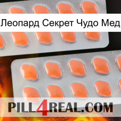 Леопард Секрет Чудо Мед 27